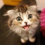 人生が激変した成功・最新ダイエット法とは？